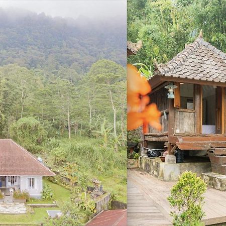 Four Monkeys House Villa Bedugul  Exterior foto