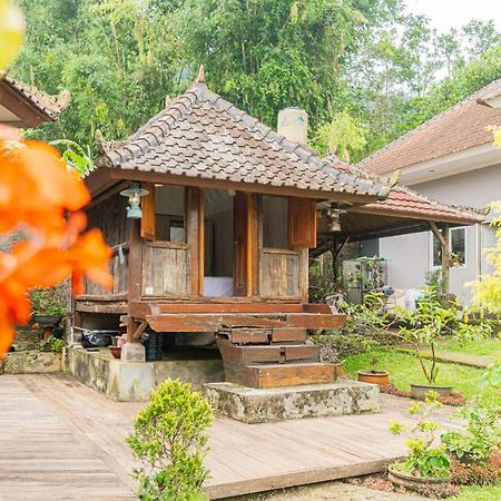 Four Monkeys House Villa Bedugul  Exterior foto