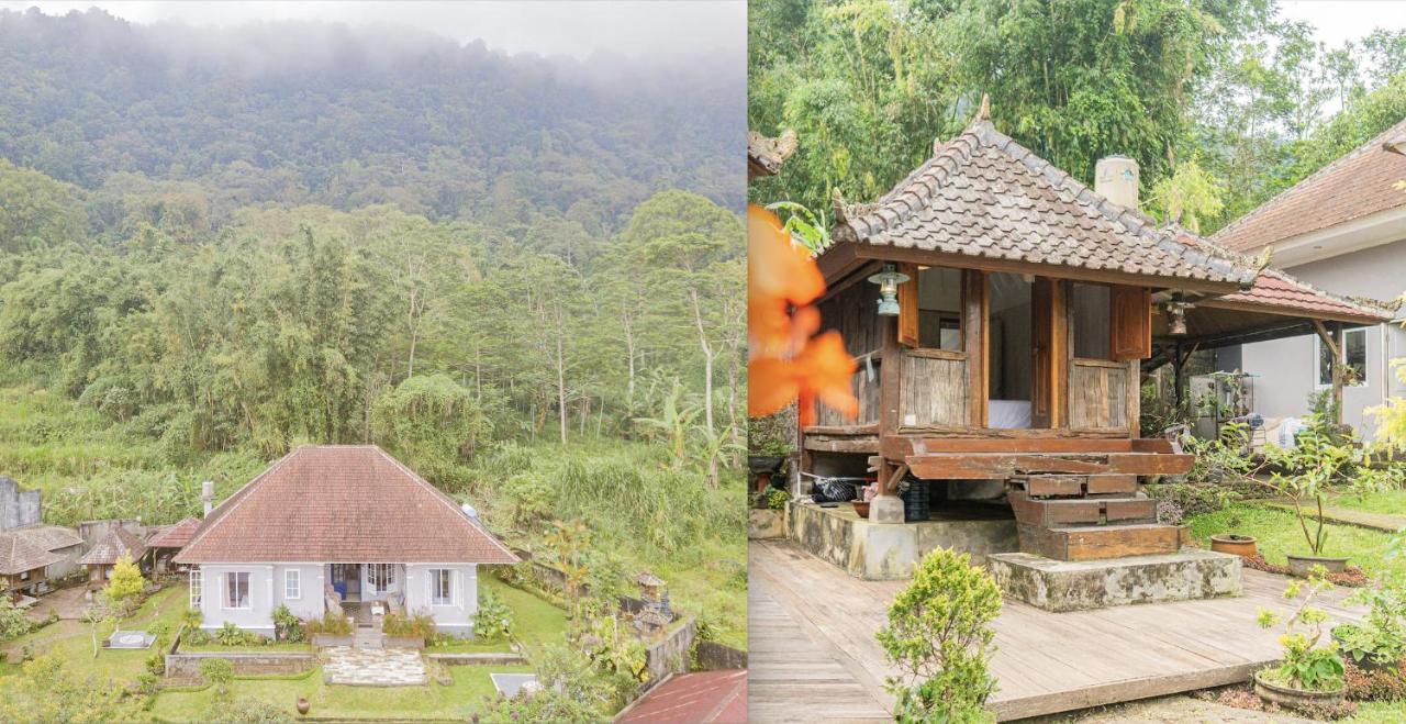 Four Monkeys House Villa Bedugul  Exterior foto