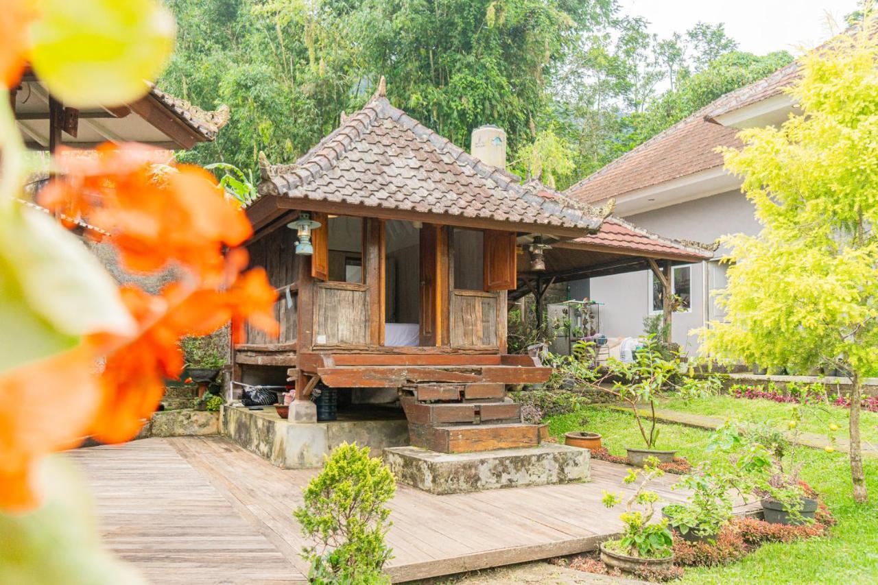 Four Monkeys House Villa Bedugul  Exterior foto