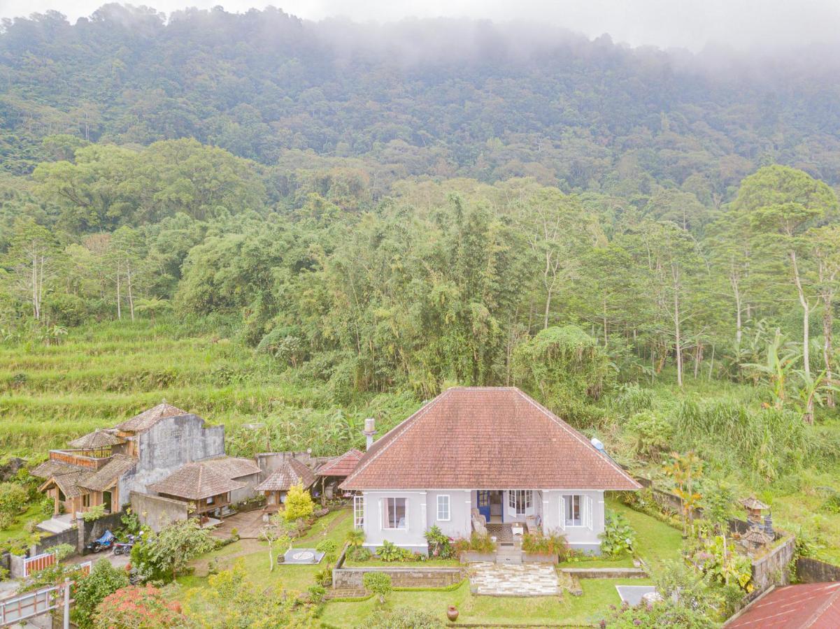 Four Monkeys House Villa Bedugul  Exterior foto